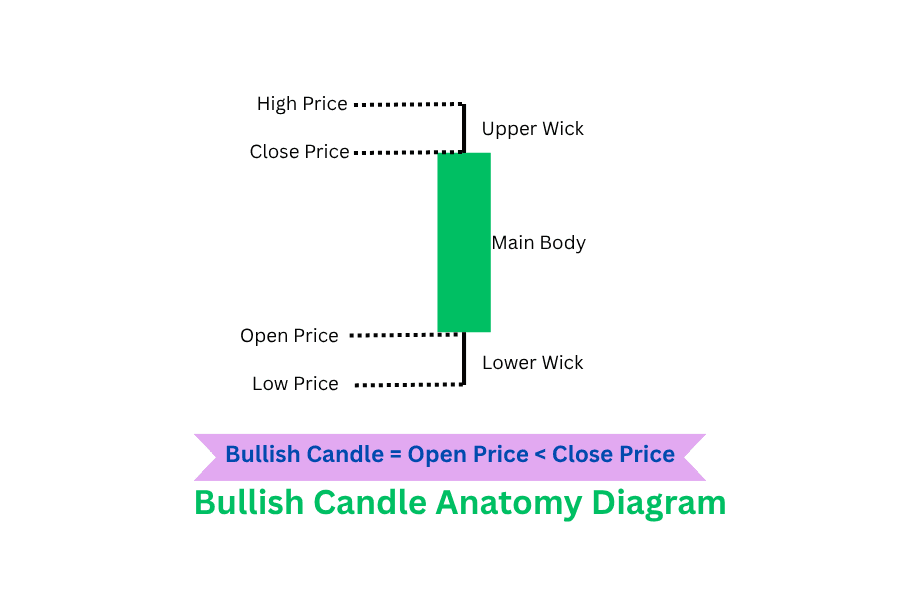 Bullish Candle Anatomy: How to Read a Bullish Candlestick (With Chart Examples)